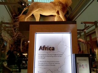 美国自然历史博物馆