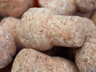 葡萄酒假期酒庄