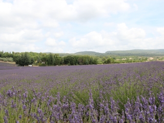 普罗旺斯埃克斯