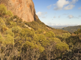 沃伦邦格尔国家公园