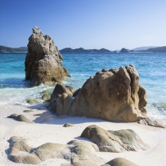 景点模块 