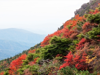 岩手山