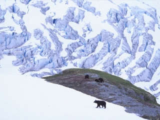 克卢恩国家公园