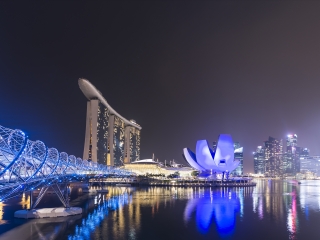 新加坡艺术科学博物馆