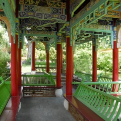 中式花园、苏黎世、画廊、瑞士、欧洲_9983