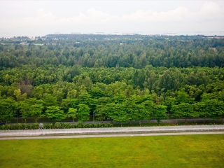 新加坡国立大学