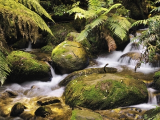 岩石河国家公园