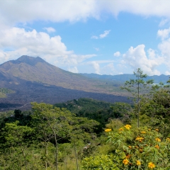 巴厘岛巴图尔火山风光_10556
