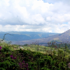 巴厘岛巴图尔火山风光_10558