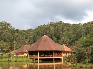 昂达西贝国家森林公园