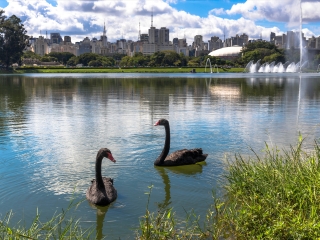 伊比拉普埃拉公园