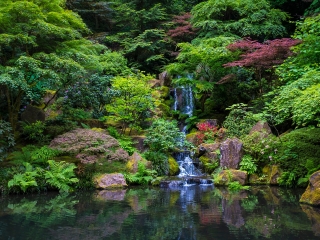 波特兰日本花园