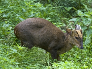 萨尔茨堡动物园