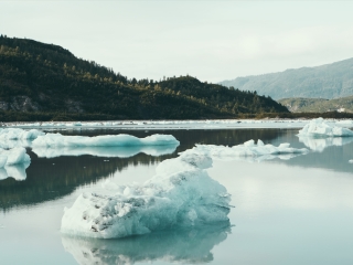 冰川湾国家公园