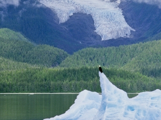 冰川湾国家公园