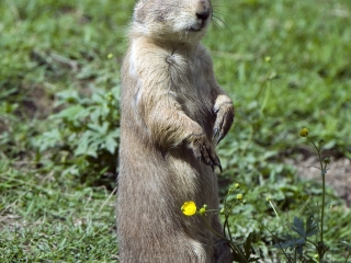 萨尔茨堡动物园