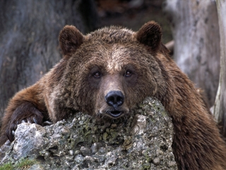 萨尔茨堡动物园