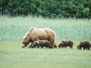 阿卡迪亚国家公园