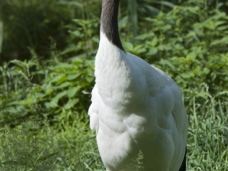 萨尔茨堡动物园