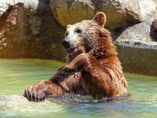 阿拉斯加动物园