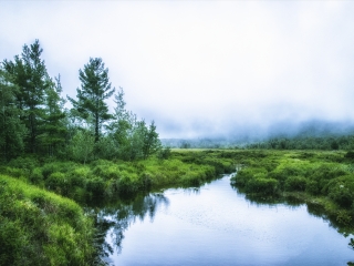 阿卡迪亚国家公园