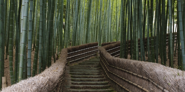 行程天数可选,自由行必备,畅游西日本