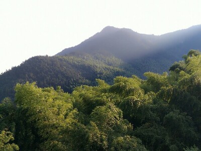 【罗田薄刀峰紫雾山庄】地址:胜利镇薄刀峰风景区西