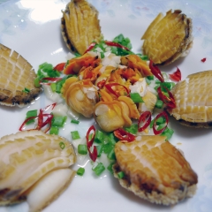 凯恩斯鲍鱼_5094_6485