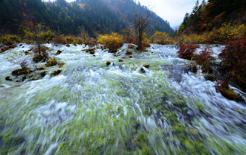 绵阳--九寨沟3日游 住当地准四,含观光车,送走进