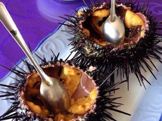 老船长打渔人家