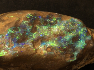 赫德和麦克唐纳群岛