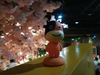 小强锅重庆老火锅