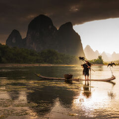 Cormorant and fisherman at dawn on the Li River, Guilin, Yangshou, Guangxi Province, China, Asia