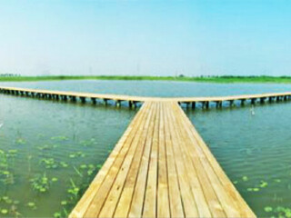 杭州湾湿地公园