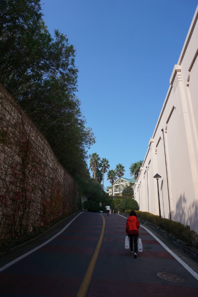 皇家加勒比有一种旅行叫邮轮之皇家加勒比海洋水手号