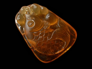 索波特