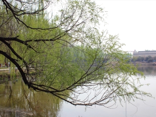 大运河森林公园