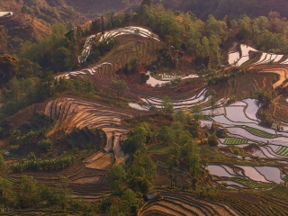 老虎嘴梯田