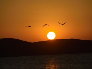 大山包黑颈鹤保护区