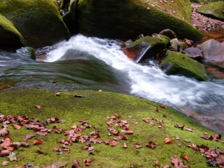 蒲石河