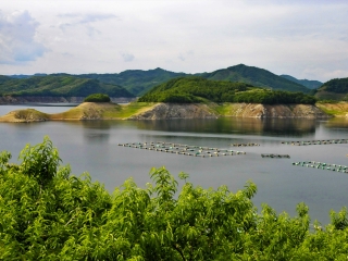 水丰