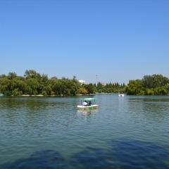 莱西月湖公园_4010