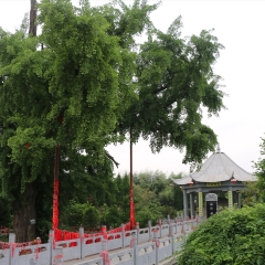 中国陕西户县重阳宫_4732