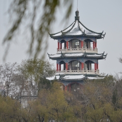 莱西月湖公园_4008