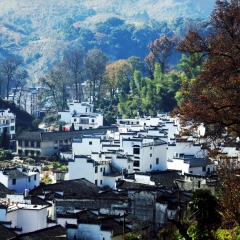 长溪村_2846