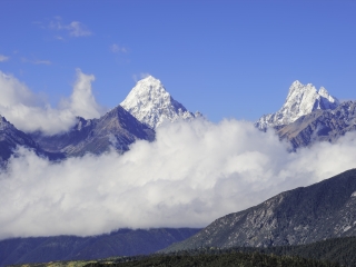滇金丝猴保护区