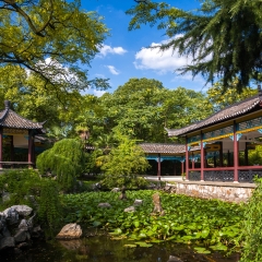 江西南昌人民公园风光_2747