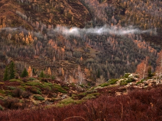 小东沟森林公园
