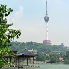 湖北省武汉莲花湖公园龟山电视塔_2624