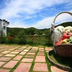 浙江省宁波东钱湖十里四香景区_3483